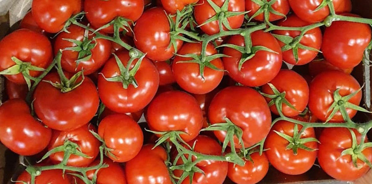 Pomodoro grappolo - 1,50 euro al chilogrammo